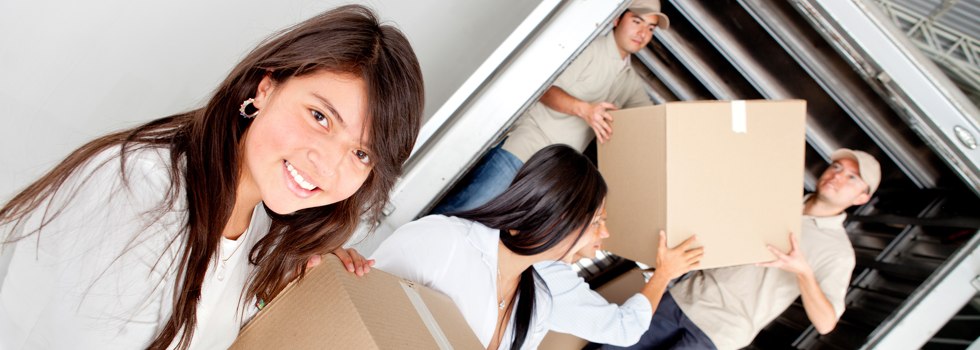 Professional Removalists Williams